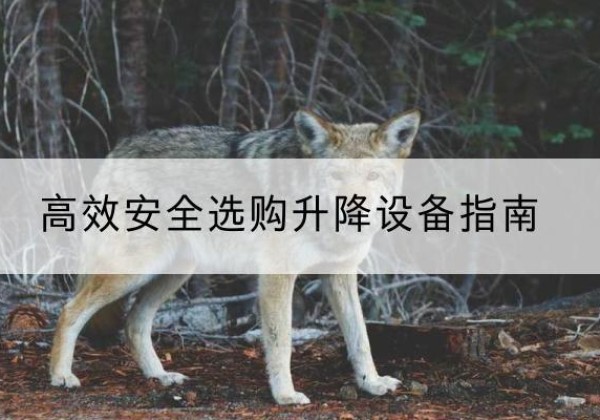 江海升降货梯厂家推荐-*安全选购升降设备指南