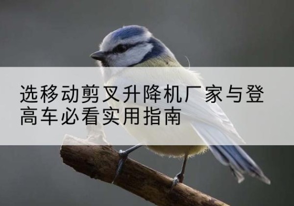 江海电动升降机厂家-选移动剪叉升降机厂家与登高车必看实用指南